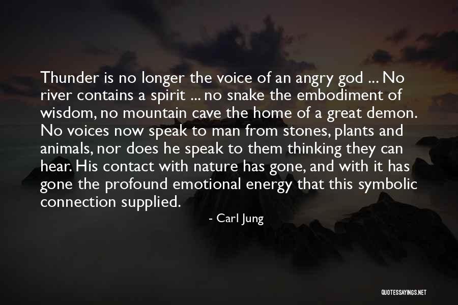 Emotional Connection Quotes By Carl Jung