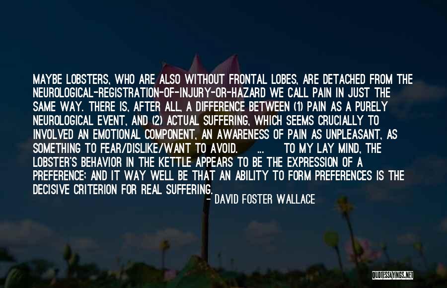 Emotional Injury Quotes By David Foster Wallace Emotional Injury Quotes By David Foster Wallace