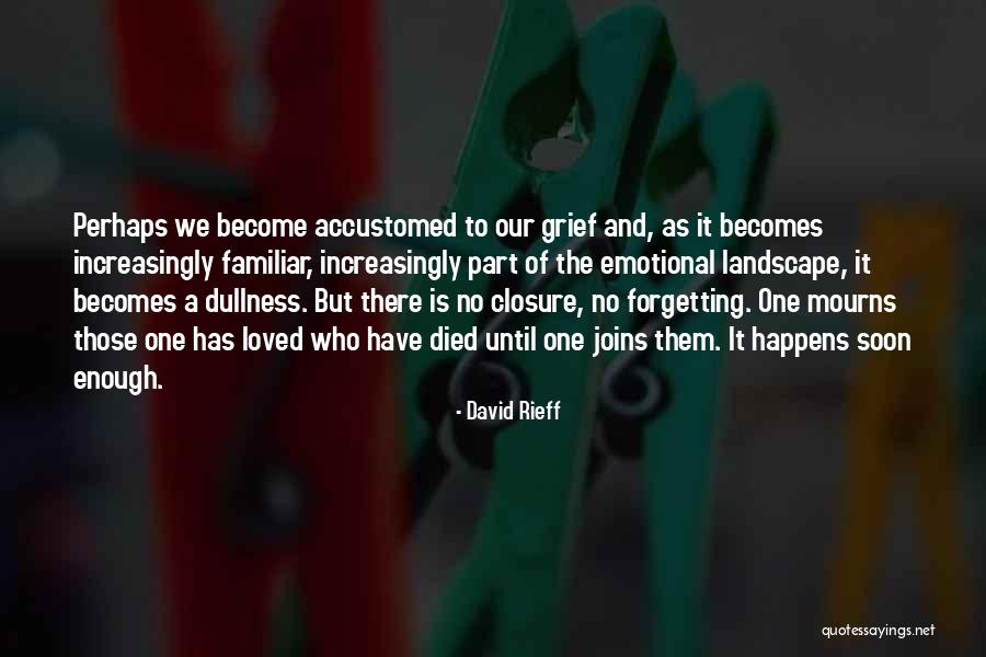 Emotional Loss Quotes By David Rieff