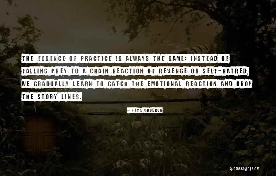 Emotional Reaction Quotes By Pema Chodron Emotional Reaction Quotes By Pema Chodron