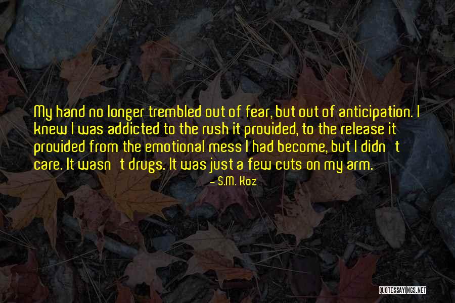 Emotional Release Quotes By S.M. Koz