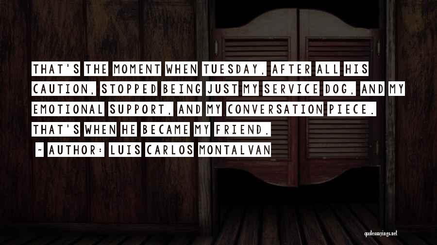 Emotional Support Quotes By Luis Carlos Montalvan