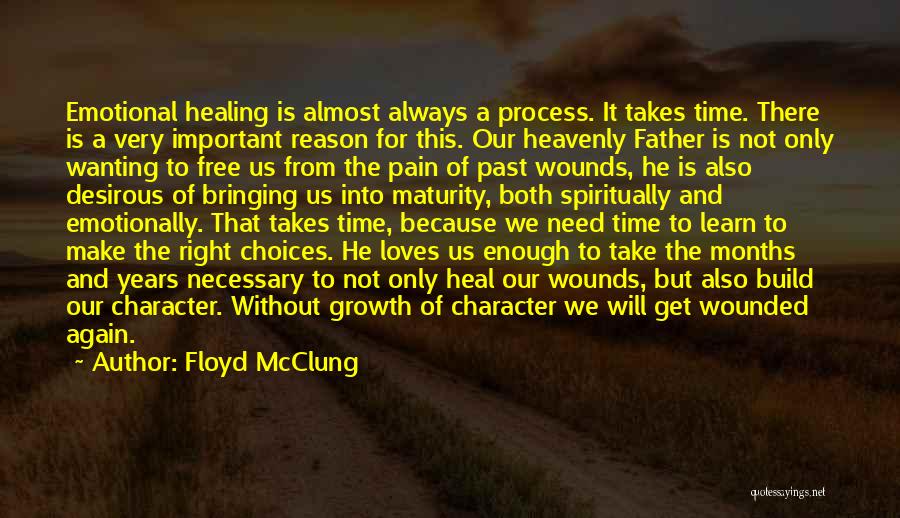 Emotional Wounds Quotes By Floyd McClung