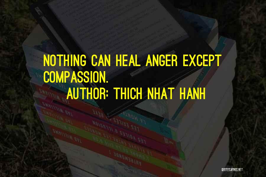 Emotionalism In The Church Quotes By Thich Nhat Hanh