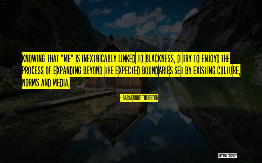 Emotionante Quotes By Baratunde Thurston Emotionante Quotes By Baratunde Thurston