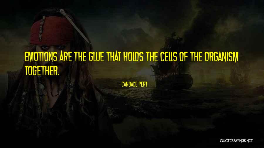 Emotions And Leadership Quotes By Candace Pert Emotions And Leadership Quotes By Candace Pert