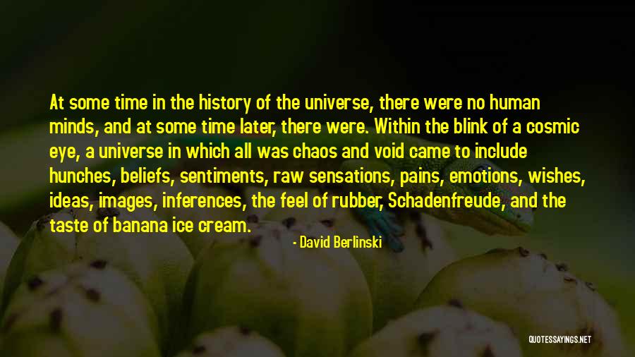 Emotions And Pain Quotes By David Berlinski