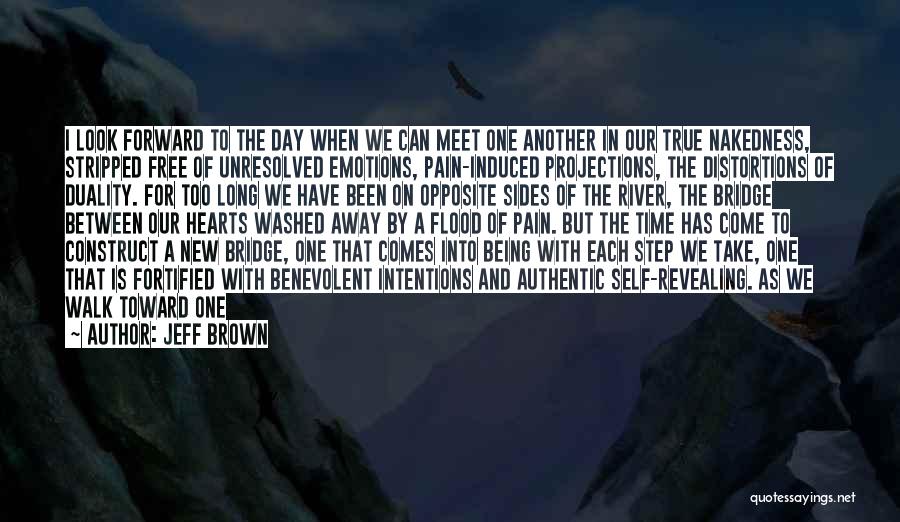 Emotions And Pain Quotes By Jeff Brown