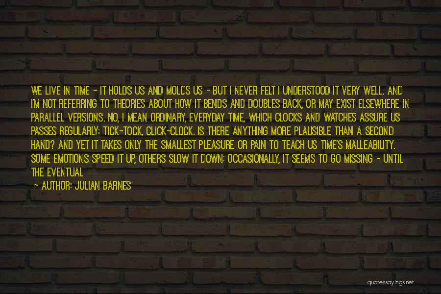 Emotions And Pain Quotes By Julian Barnes