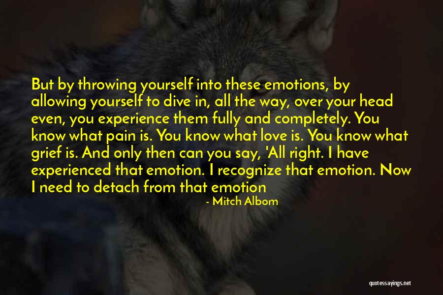 Emotions And Pain Quotes By Mitch Albom