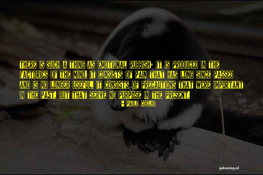 Emotions And Pain Quotes By Paulo Coelho Emotions And Pain Quotes By Paulo Coelho