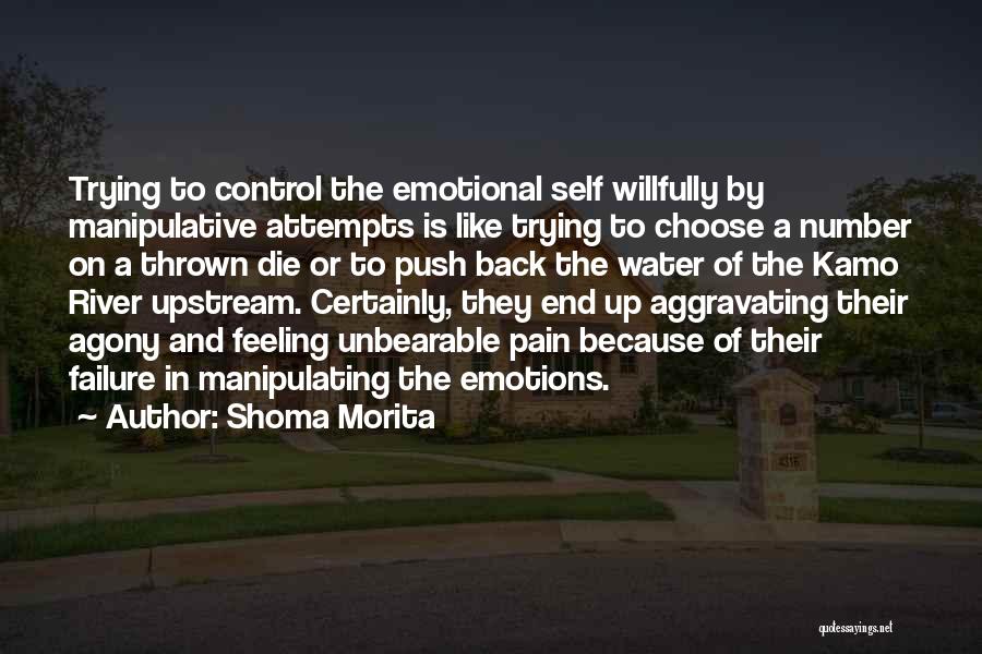 Emotions And Pain Quotes By Shoma Morita
