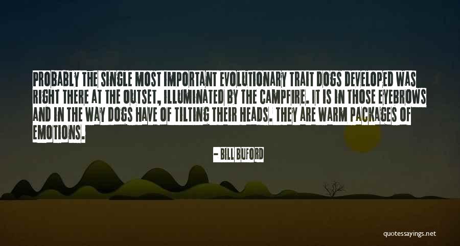 Emotions Are Important Quotes By Bill Buford Emotions Are Important Quotes By Bill Buford
