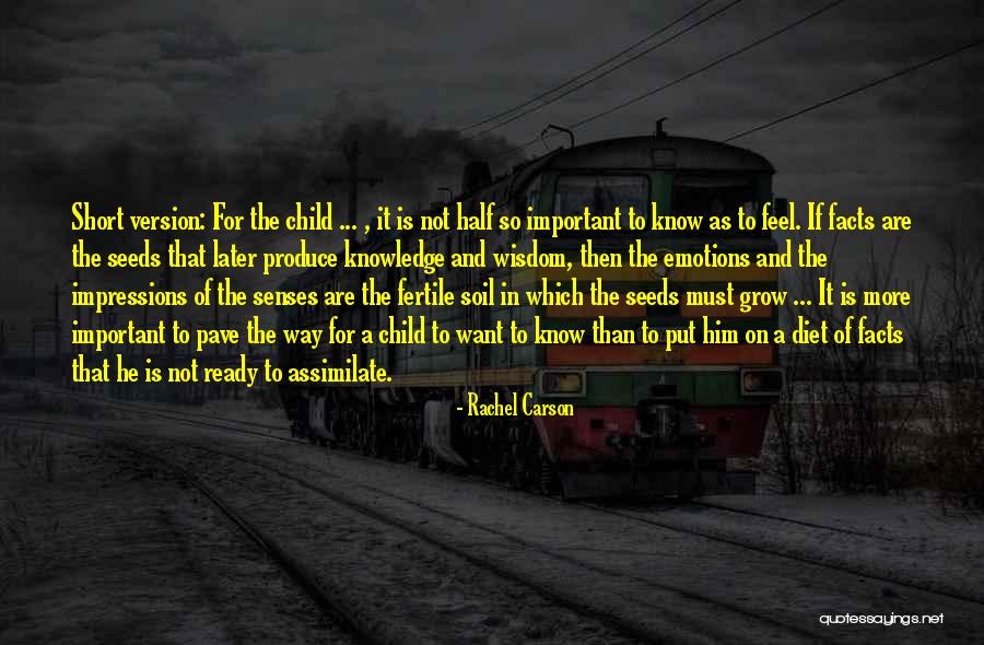 Emotions Are Important Quotes By Rachel Carson Emotions Are Important Quotes By Rachel Carson