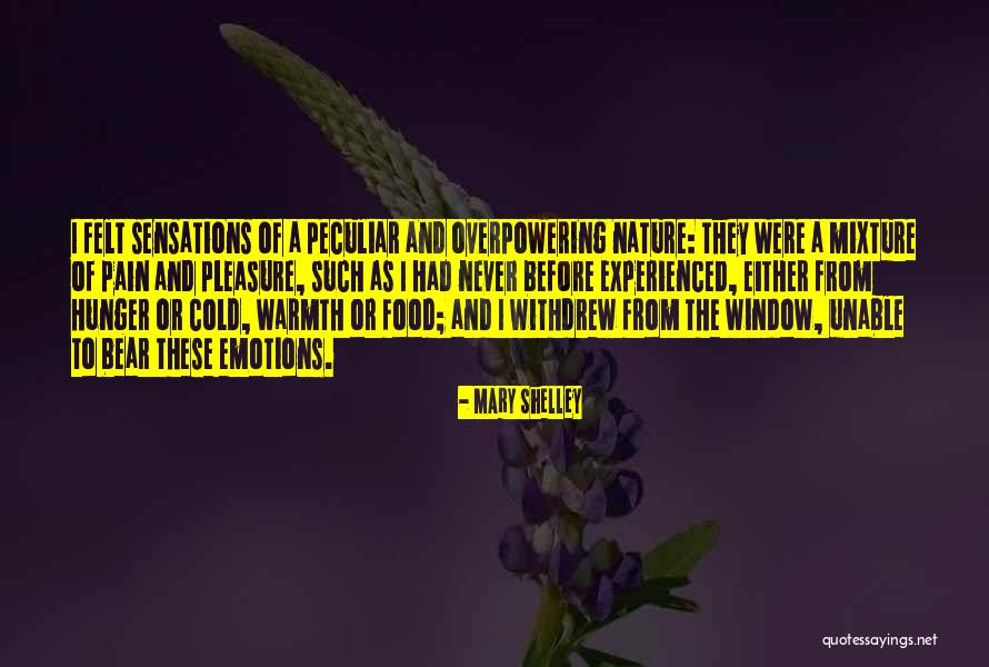 Emotions Of Pain Quotes By Mary Shelley Emotions Of Pain Quotes By Mary Shelley