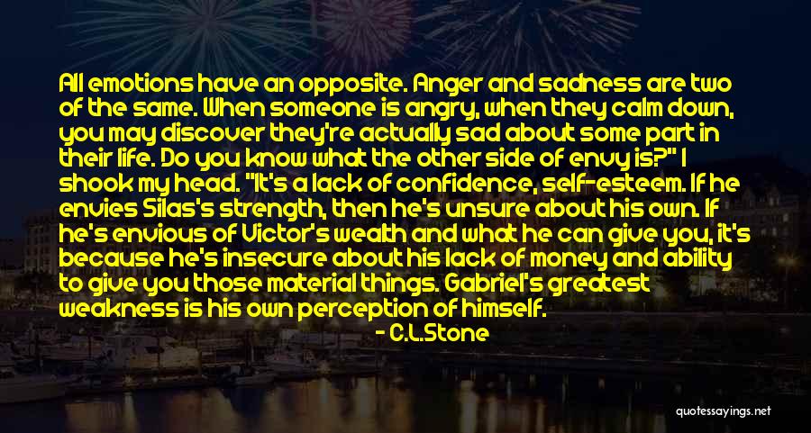 Emotions Sad Quotes By C.L.Stone