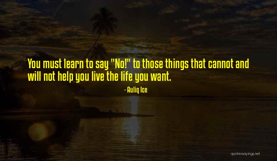 Empanador Quotes By Auliq Ice