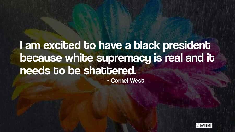 Empatheia Consulting Quotes By Cornel West Empatheia Consulting Quotes By Cornel West