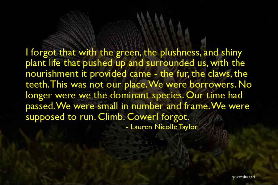 Empatica Reviews Quotes By Lauren Nicolle Taylor Empatica Reviews Quotes By Lauren Nicolle Taylor