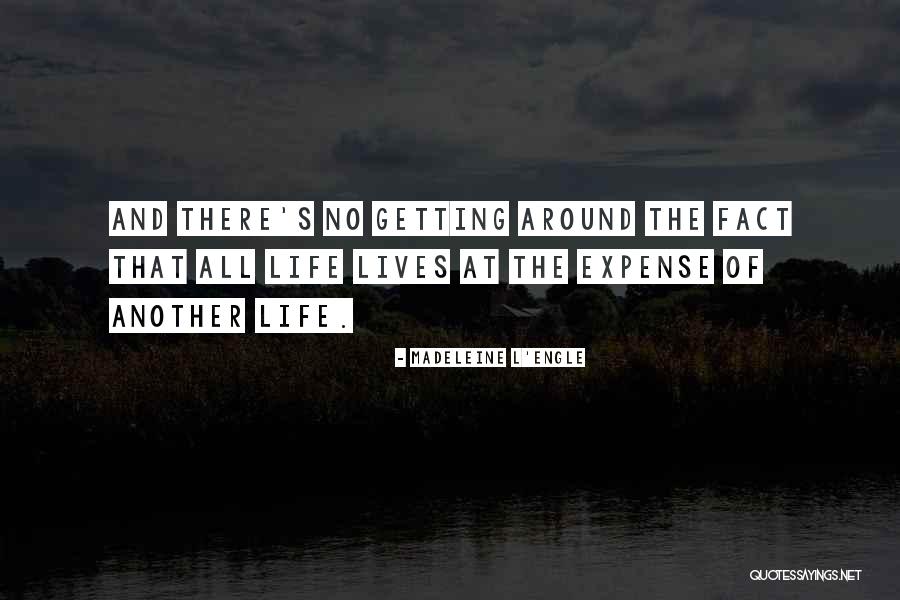 Empey Law Quotes By Madeleine L'Engle Empey Law Quotes By Madeleine L'Engle