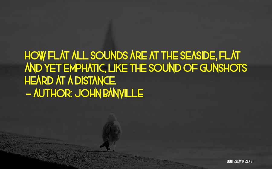 Emphatic Quotes By John Banville