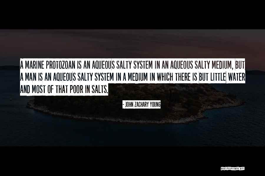 Empleos Quotes By John Zachary Young Empleos Quotes By John Zachary Young