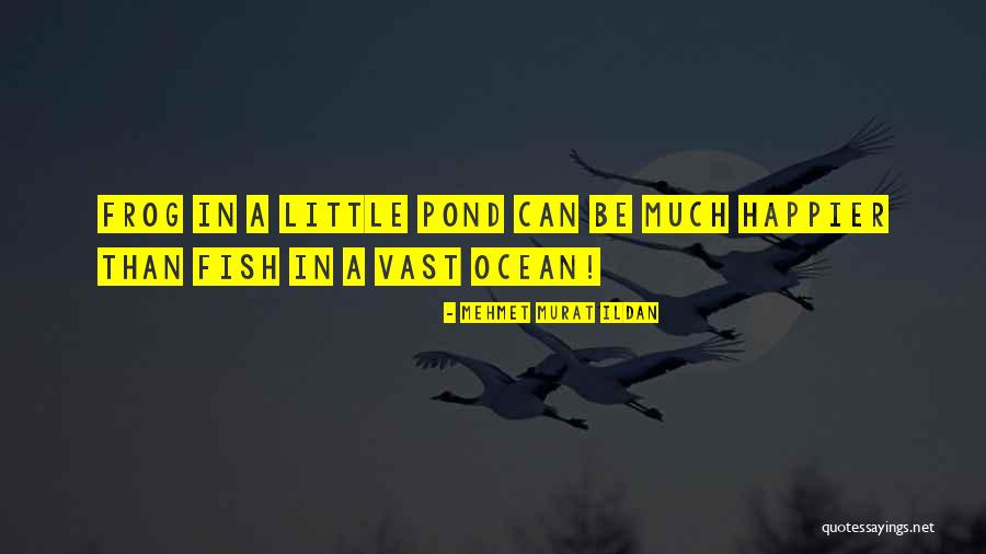 Empressement Synonyme Quotes By Mehmet Murat Ildan