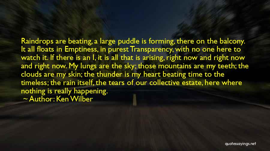 Emptiness Of The Heart Quotes By Ken Wilber