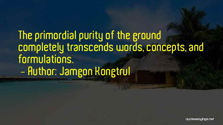 Emptiness Quotes By Jamgon Kongtrul