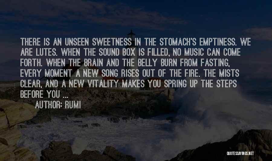 Emptiness Quotes By Rumi