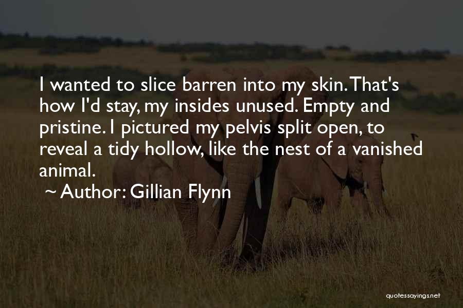Empty And Hollow Quotes By Gillian Flynn