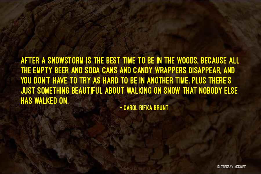 Empty Cans Quotes By Carol Rifka Brunt