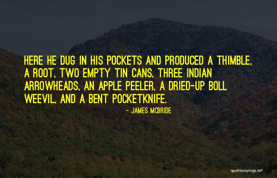 Empty Pockets Quotes By James McBride