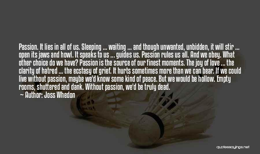 Empty Rooms Quotes By Joss Whedon