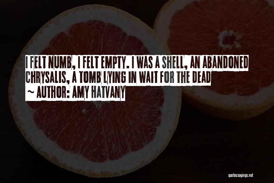 Empty Shell Quotes By Amy Hatvany