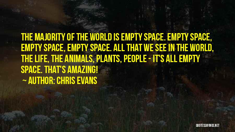 Empty Space In Life Quotes By Chris Evans