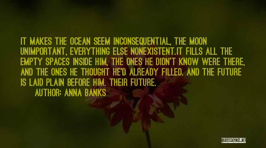 Empty Spaces Quotes By Anna Banks