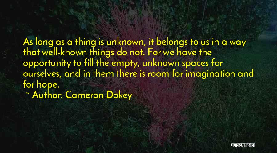 Empty Spaces Quotes By Cameron Dokey