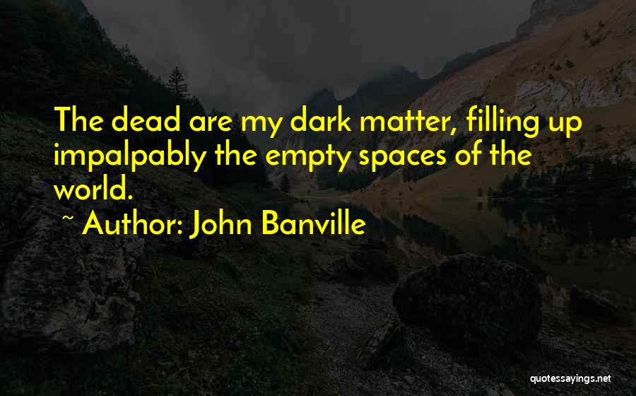 Empty Spaces Quotes By John Banville