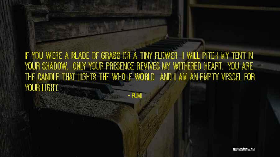 Empty World Quotes By Rumi