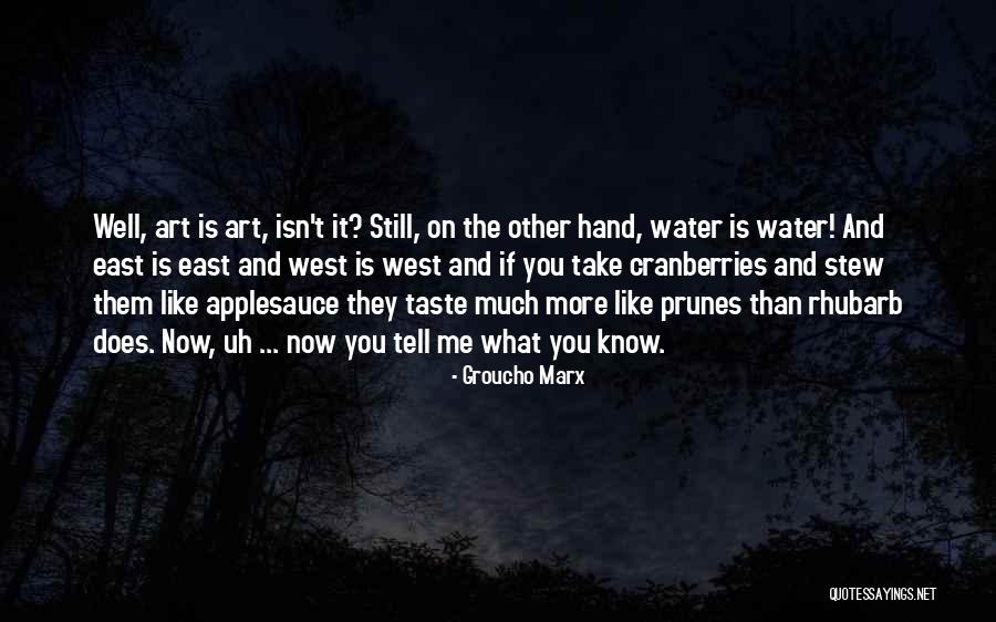 Empurrao Quotes By Groucho Marx Empurrao Quotes By Groucho Marx