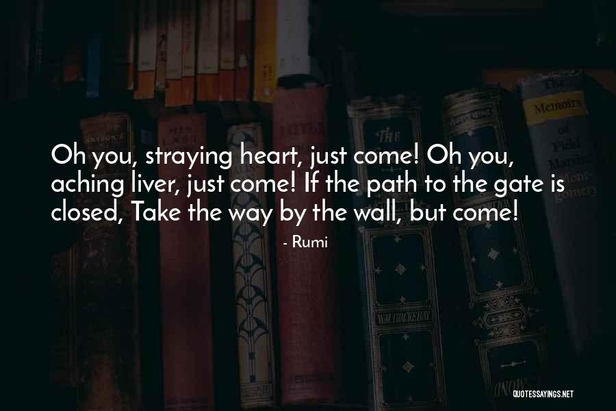 Emyth Quotes By Rumi Emyth Quotes By Rumi