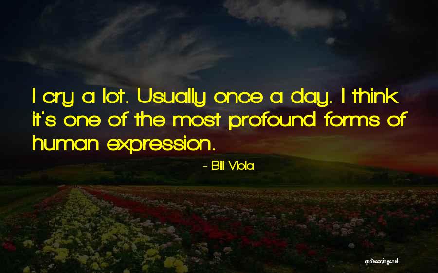 En Chia Quotes By Bill Viola En Chia Quotes By Bill Viola