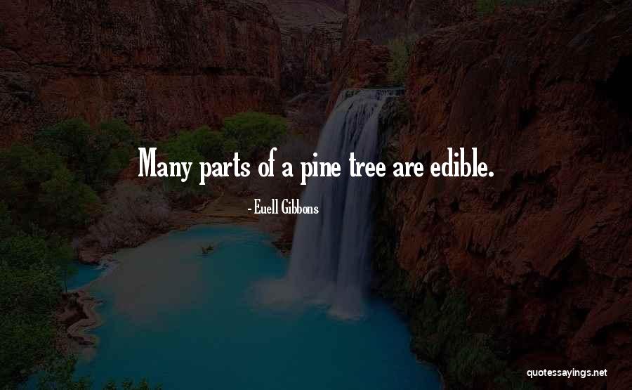 Enables Antonym Quotes By Euell Gibbons Enables Antonym Quotes By Euell Gibbons