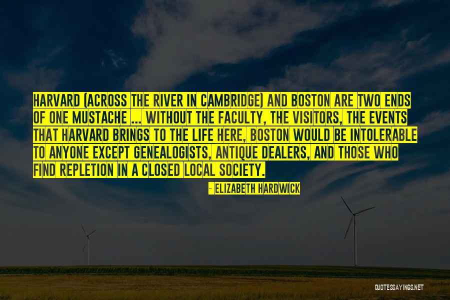 Enamels By Janice Quotes By Elizabeth Hardwick Enamels By Janice Quotes By Elizabeth Hardwick