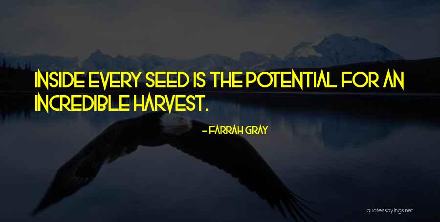 Enamorar En Quotes By Farrah Gray Enamorar En Quotes By Farrah Gray