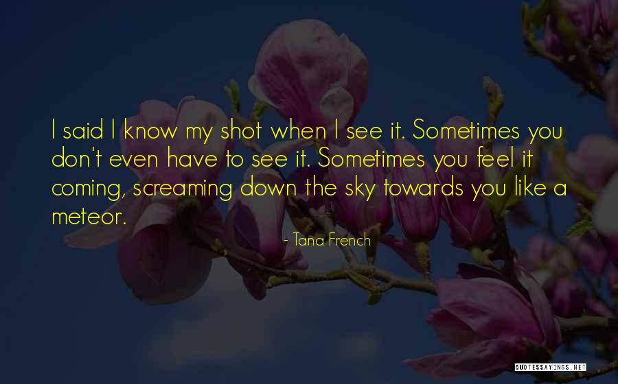 Encadenados Telenovela Quotes By Tana French Encadenados Telenovela Quotes By Tana French