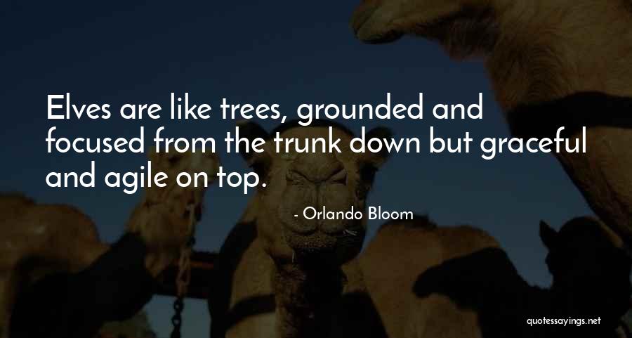 Encaminadas Quotes By Orlando Bloom Encaminadas Quotes By Orlando Bloom