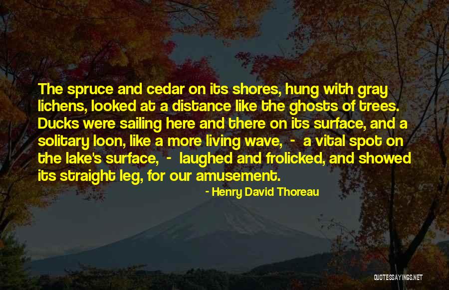 Encaminar En Quotes By Henry David Thoreau Encaminar En Quotes By Henry David Thoreau