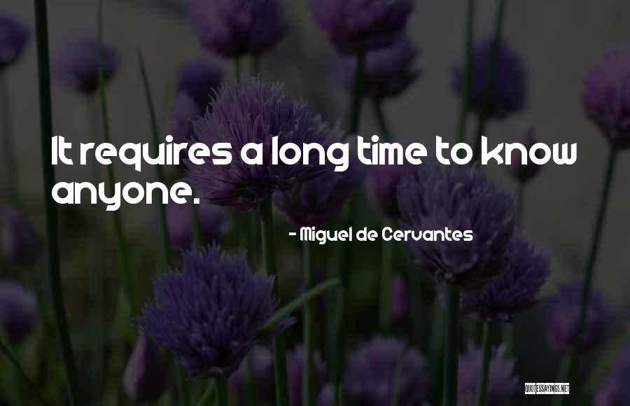 Encantar Preterite Quotes By Miguel De Cervantes Encantar Preterite Quotes By Miguel De Cervantes